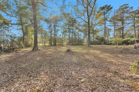 75 Pavey Circle New Waverly TX 77358