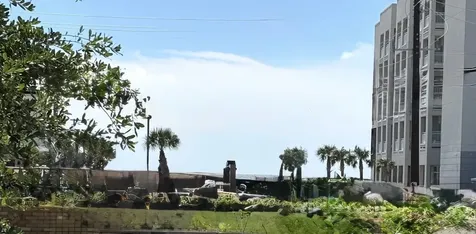 4213 Avenue T 1/2 Galveston TX 77550