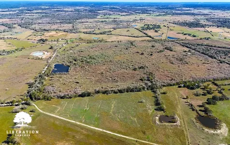 13316-004 Farm To Market Road 2620 Bedias TX 77831
