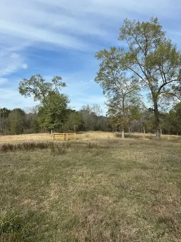4761 Jackson Road Montgomery TX 77316