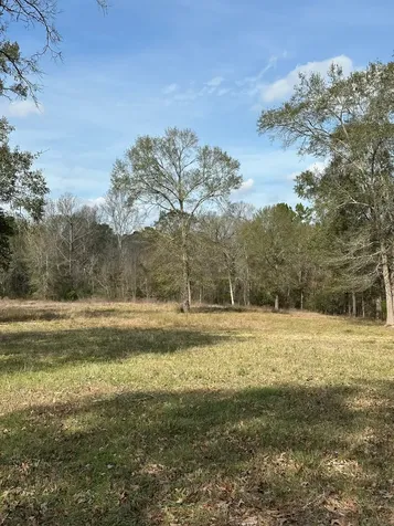 4761 Jackson Road Montgomery TX 77316