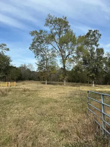4761 Jackson Road Montgomery TX 77316
