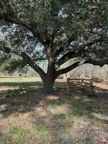 4761 Jackson Road Montgomery TX 77316