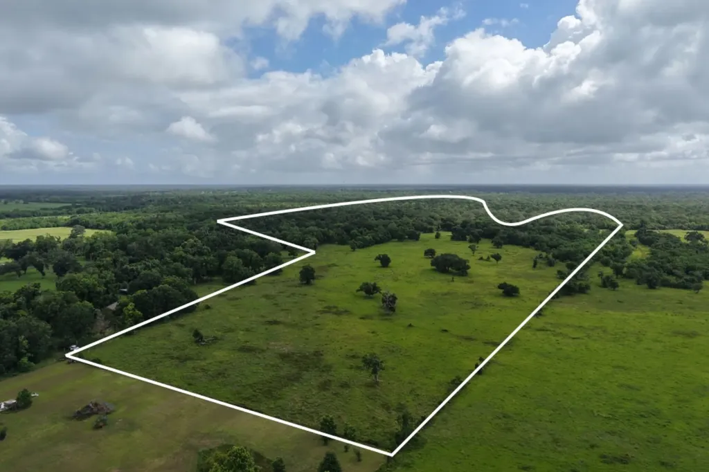 Tbd County Road 164 Cedar Lane TX 77415