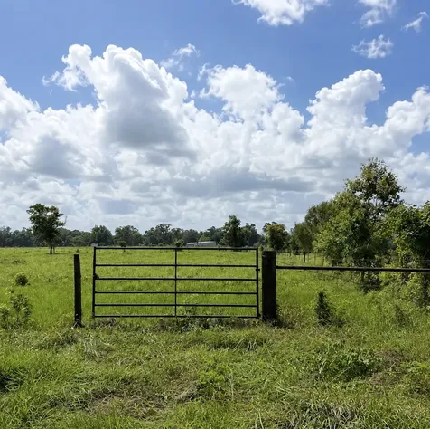 Tbd County Road 164 Cedar Lane TX 77415