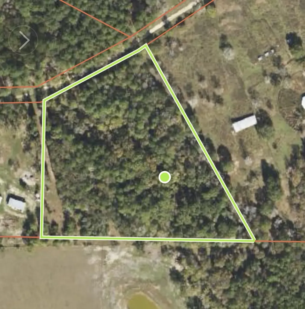 10.24 Acres Townley Ranch Road Dodge TX 77334