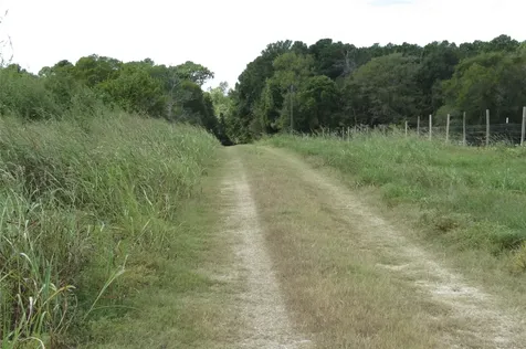 10.24 Acres Townley Ranch Road Dodge TX 77334