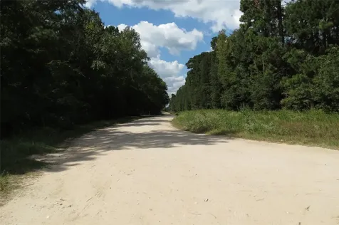 10.24 Acres Townley Ranch Road Dodge TX 77334