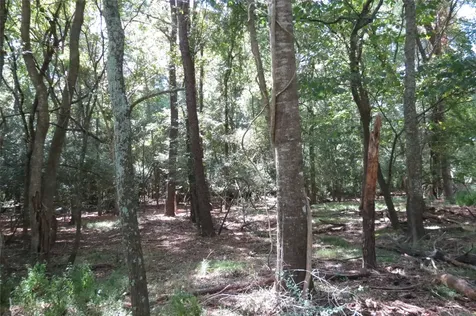 10.24 Acres Townley Ranch Road Dodge TX 77334