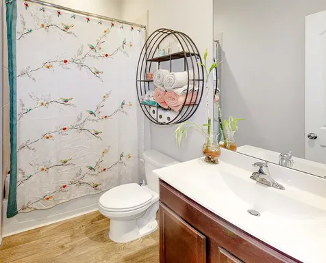 20330 Green Mountain Drive New Caney TX 77357