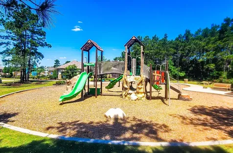 20330 Green Mountain Drive New Caney TX 77357