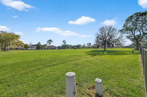 255 Mossy Meadow Drive West Columbia TX 77486