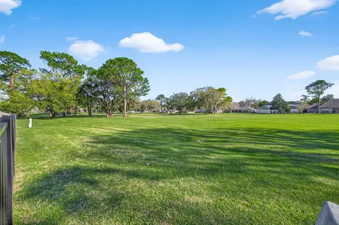 255 Mossy Meadow Drive West Columbia TX 77486