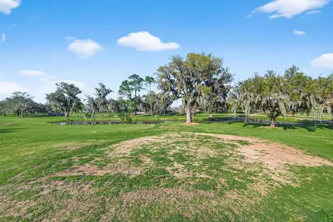 255 Mossy Meadow Drive West Columbia TX 77486