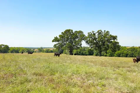 Tract #8 Cr 305 Road Navasota TX 77868