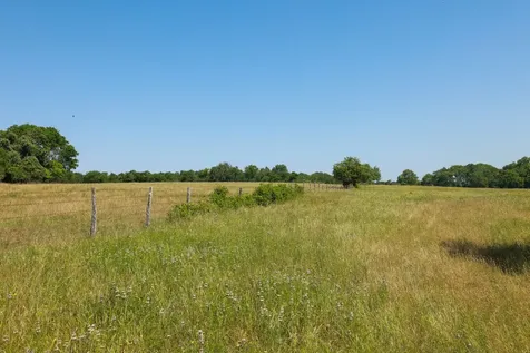 Tract #8 Cr 305 Road Navasota TX 77868