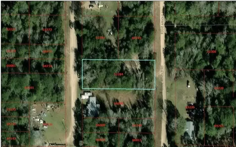 195 Bobby Baer Road Livingston TX 77351