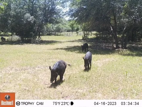 1561 County Road 154 Weimar TX 78934