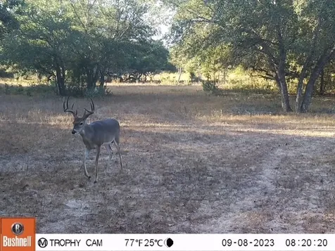 1561 County Road 154 Weimar TX 78934