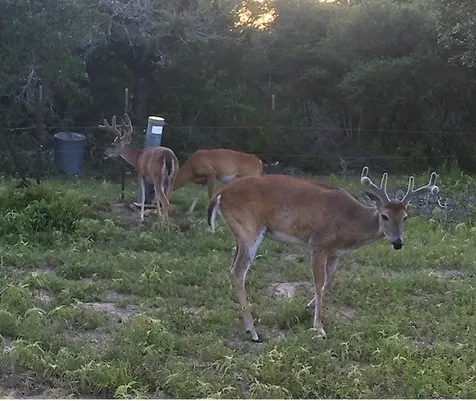 1561 County Road 154 Weimar TX 78934