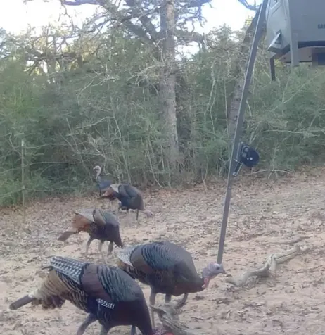1561 County Road 154 Weimar TX 78934