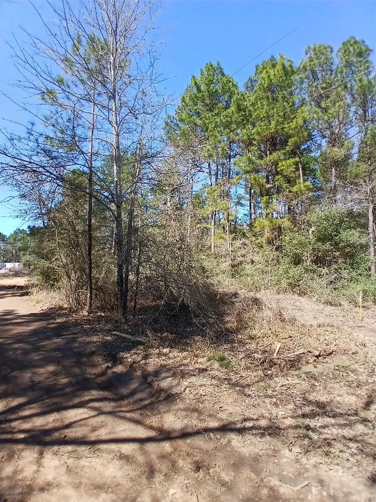 7886 Coral Bean Lane Plantersville TX 77363