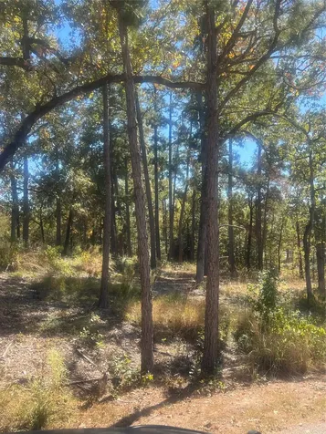 00 Tall Timbers Drive Huntsville TX 77320