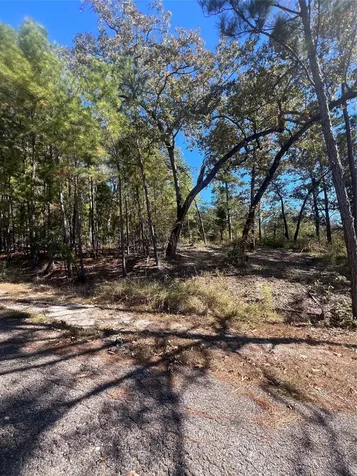 00 Tall Timbers Drive Huntsville TX 77320