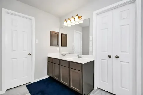 14506 Tundra Swan Drive Houston TX 77049