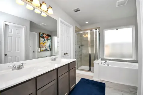 14506 Tundra Swan Drive Houston TX 77049