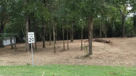 Tbd Paradise Drive-gulls Nest Lane Coldspring TX 77331