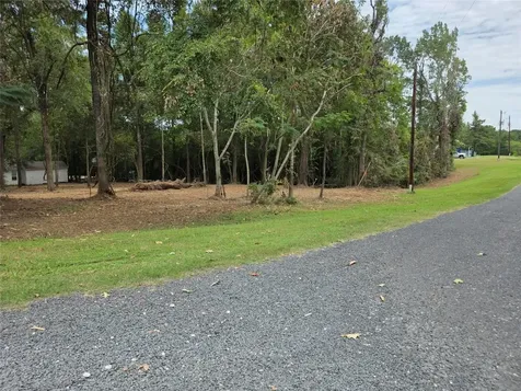 Tbd Paradise Drive-gulls Nest Lane Coldspring TX 77331