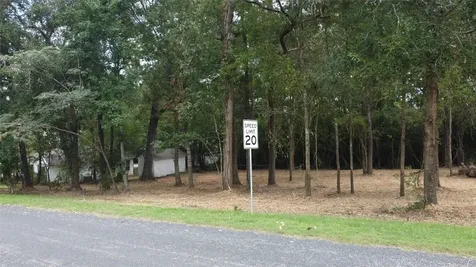 Tbd Paradise Drive-gulls Nest Lane Coldspring TX 77331