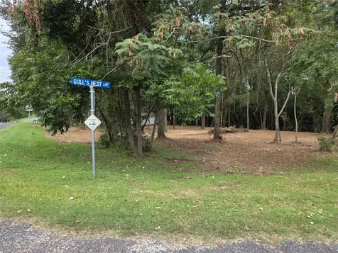 Tbd Paradise Drive-gulls Nest Lane Coldspring TX 77331