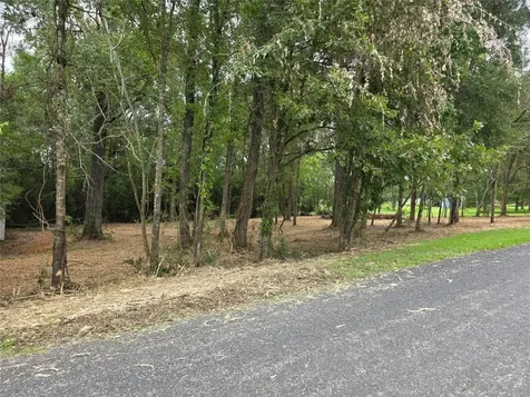 Tbd Paradise Drive-gulls Nest Lane Coldspring TX 77331