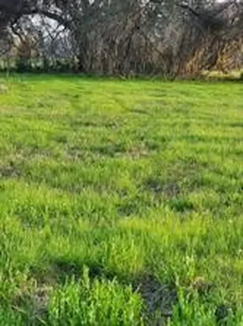 267 / 254 Shetland Court Angleton TX 77515