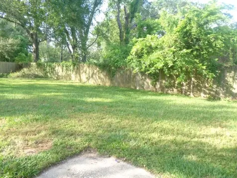 19806 Rustlewood Drive Humble TX 77338