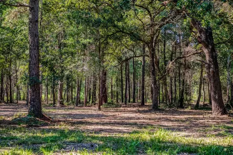31801 Reids Prairie Road Waller TX 77484