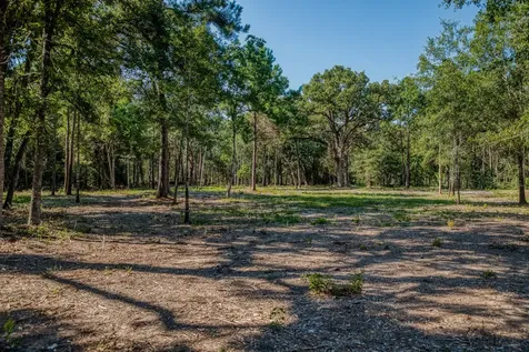31801 Reids Prairie Road Waller TX 77484