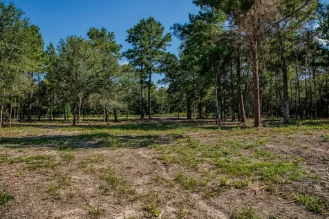 31801 Reids Prairie Road Waller TX 77484