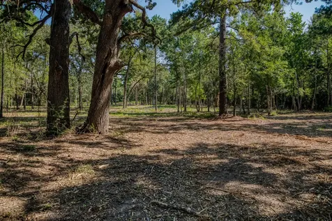 31801 Reids Prairie Road Waller TX 77484
