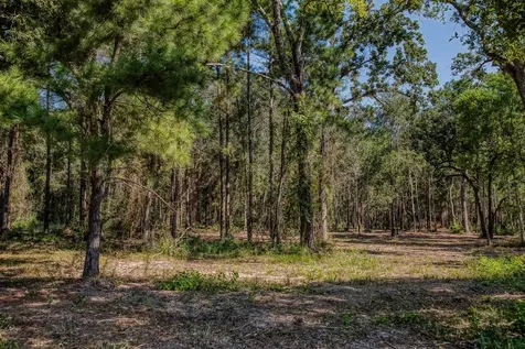 31801 Reids Prairie Road Waller TX 77484