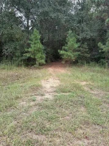 21490 Big Buck Drive Cleveland TX 77328
