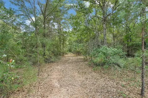 21490 Big Buck Drive Cleveland TX 77328
