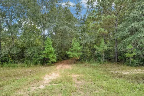21490 Big Buck Drive Cleveland TX 77328