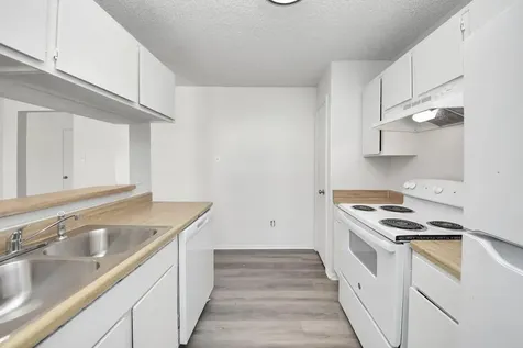 23326 Prairie Bird Drive Spring TX 77373