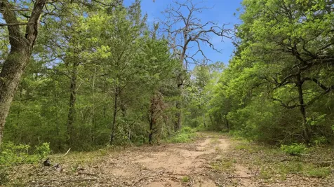 1165 Cr 213 Tract 2 Weimar TX 78962