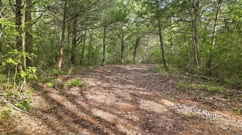 1165 Cr 213 Tract 2 Weimar TX 78962