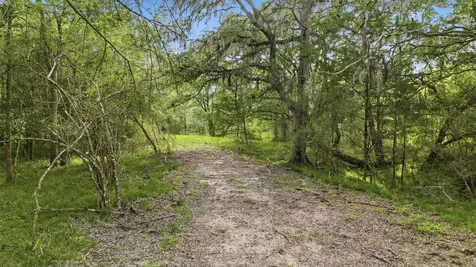 1165 Cr 213 Tract 2 Weimar TX 78962