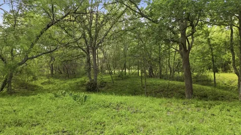 1165 Cr 213 Tract 2 Weimar TX 78962